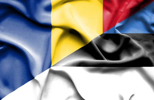 爱沙尼亚和罗马尼亚那飘扬的旗帜 — 图库照片