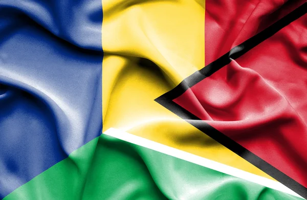 Flagge von Guyana und Rumänien schwenken — Stockfoto