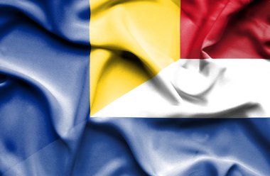 Hollanda ve Romanya bayrağı sallayarak