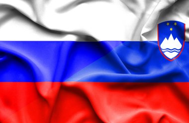 Slovenya ve Rusya bayrağı sallayarak