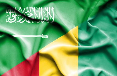 Gine ve Suudi Arabistan bayrağı sallayarak