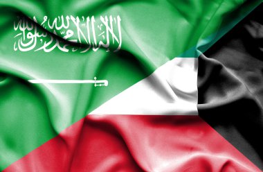Kuveyt ve Suudi Arabistan bayrağı sallayarak