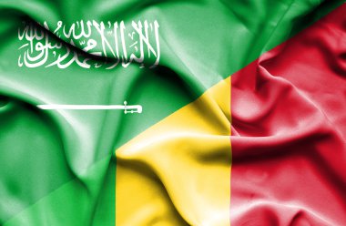mali ve Suudi Arabistan bayrağı sallayarak