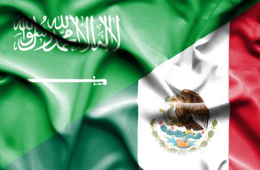 Meksika ve Suudi Arabistan bayrağı sallayarak