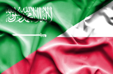 Polonya ve Suudi Arabistan bayrağı sallayarak