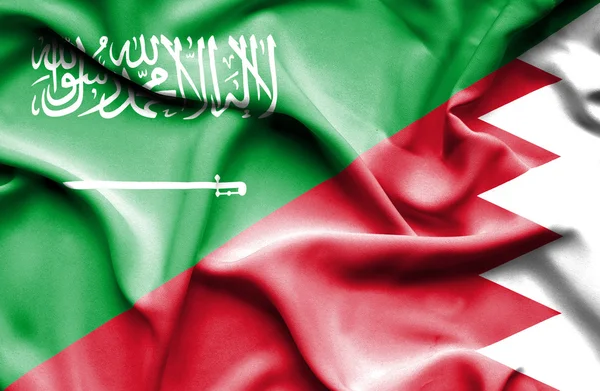 Bahreyn ve Suudi Arabistan bayrağı sallayarak