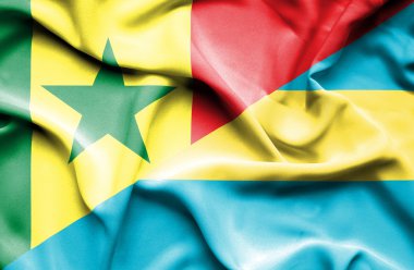 Bahamalar ve senegal Cumhuriyeti bayrağı sallayarak