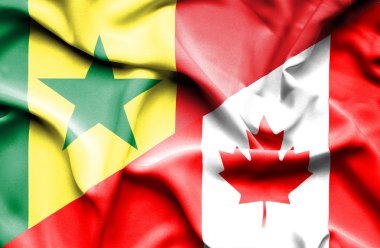 Kanada ve senegal Cumhuriyeti bayrağı sallayarak
