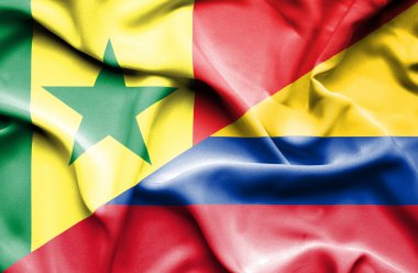 columbia ve senegal Cumhuriyeti bayrağı sallayarak