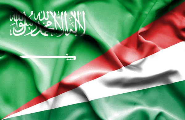 Κουνώντας τη σημαία των Σεϋχελλών και Σαουδική Αραβία — Φωτογραφία Αρχείου