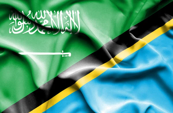 Tanzanya ve Suudi Arabistan bayrağı sallayarak — Stok fotoğraf