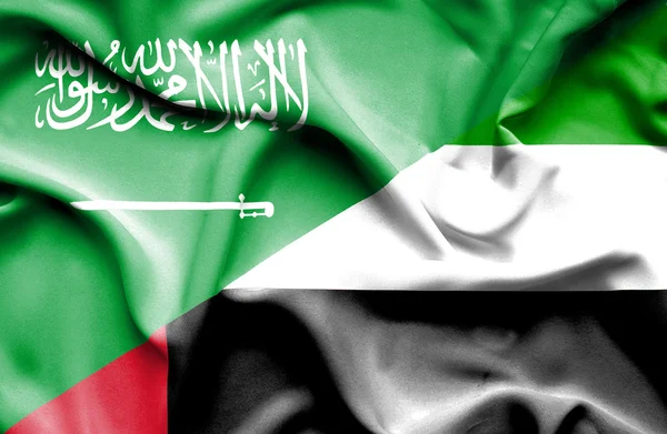 Birleşik Arap Emirlikleri ve Suudi Arabistan bayrağı sallayarak — Stok fotoğraf
