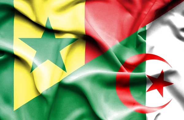 Wapperende vlag van Algerije en senegal — Stockfoto