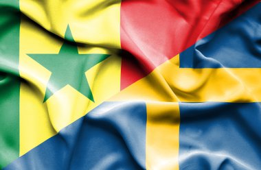 İsveç ve senegal Cumhuriyeti bayrağı sallayarak