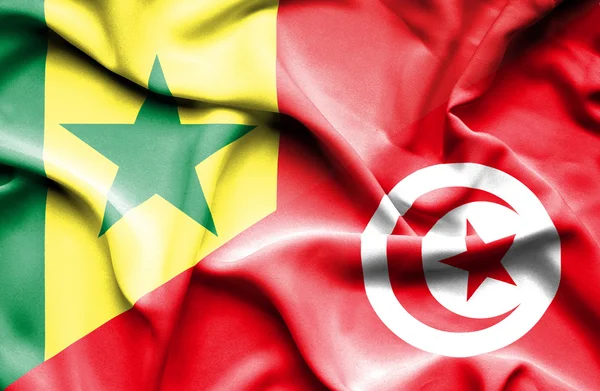 Flagge von Tunesien und Senegal schwenken — Stockfoto