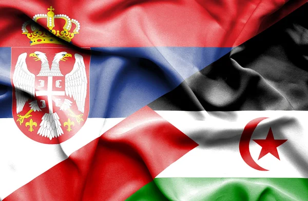 Mávání vlajkou Západní Sahary a Srbsko — Stock fotografie