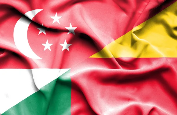 Ondeando la bandera de Benín y Singapur —  Fotos de Stock