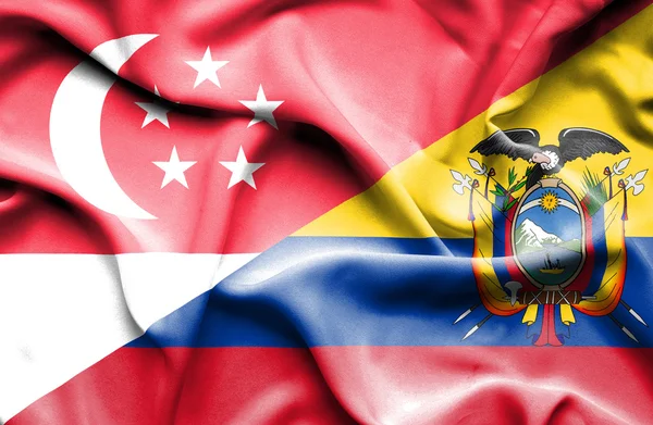 Fahne von Ecuador und Singapore schwenkend — Stockfoto