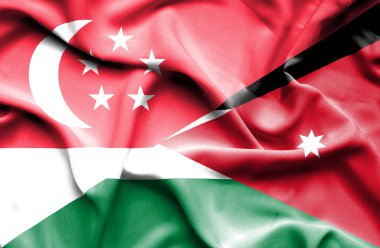 jordan ve Singapur bayrağı sallayarak