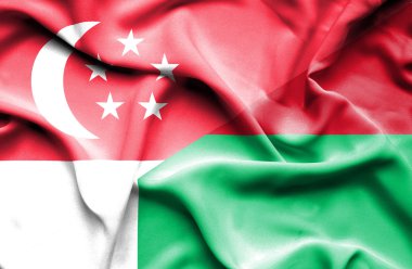 Madagaskar ve Singapur bayrağı sallayarak