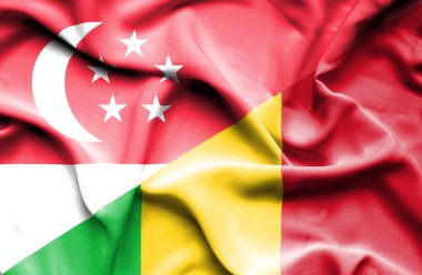 mali ve Singapur bayrağı sallayarak