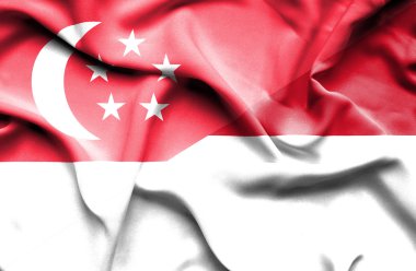 Monako ve Singapur bayrağı sallayarak