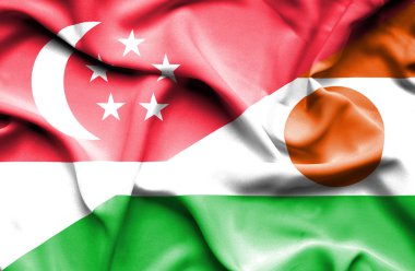 尼日尔和新加坡那飘扬的旗帜