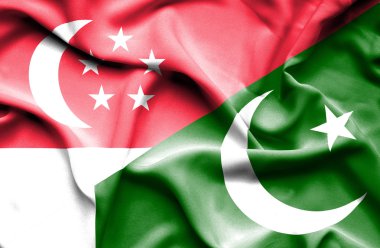 pakistan ve Singapur bayrağı sallayarak