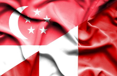 秘鲁和新加坡那飘扬的旗帜peru ve Singapur bayrağı sallayarak