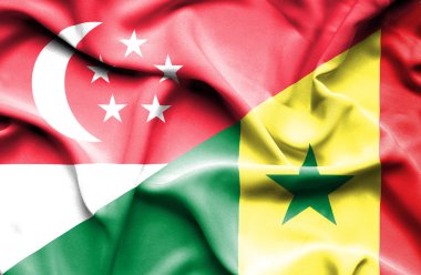 senegal ve Singapur bayrağı sallayarak