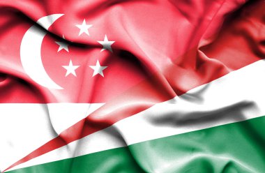 Seyşel Adaları ve Singapur bayrağı sallayarak