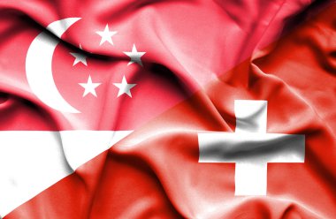 İsviçre ve Singapur bayrağı sallayarak