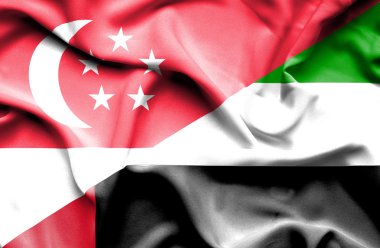 Birleşik Arap Emirlikleri ve Singapur bayrağı sallayarak