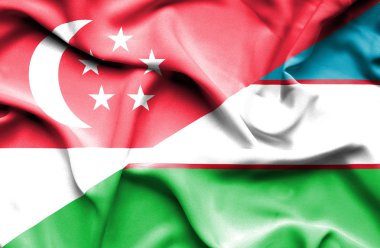 Özbekistan ve Singapur bayrağı sallayarak