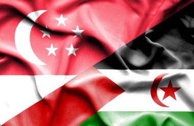 Batı Sahra ve Singapur bayrağı sallayarak