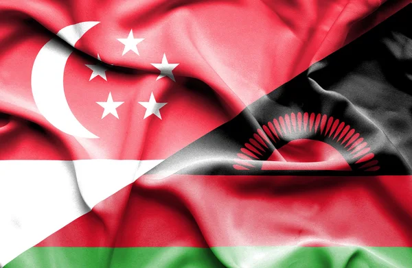 Sventolando bandiera del Malawi e Singapore — Foto Stock