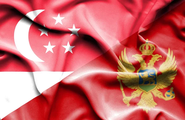 Κουνώντας τη σημαία του Μαυροβουνίου και της Σιγκαπούρης — Φωτογραφία Αρχείου