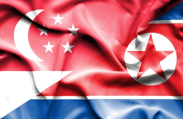 Kuzey Kore ve Singapur bayrağı sallayarak — Stok fotoğraf