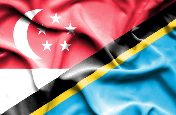Κουνώντας τη σημαία της Τανζανίας και τη Σιγκαπούρη — Φωτογραφία Αρχείου