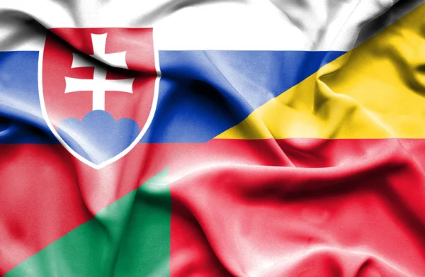 Flagge von Benin und der Slowakei schwenken — Stockfoto