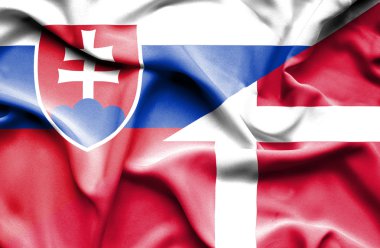 Danimarka ve Slovakya bayrağı sallayarak