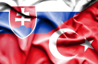 Türkiye ve Slovakya bayrağı sallayarak