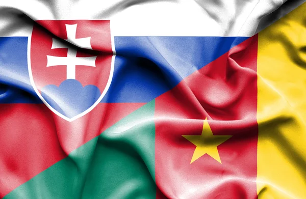 Flagge Kameruns und der Slowakei schwenken — Stockfoto
