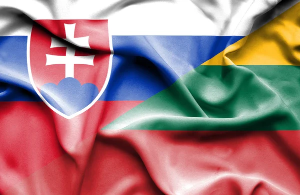 Mávání vlajkou Litvy a Slovenska — Stock fotografie