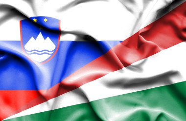 Seyşel Adaları ve Slovenya bayrağı sallayarak