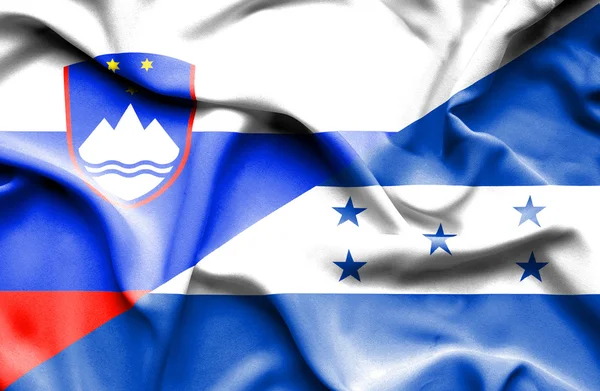 온두라스와 슬로베니아의 국기를 흔들며 — 스톡 사진