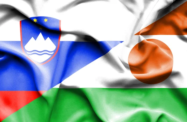 Κουνώντας τη σημαία του Νίγηρα και Σλοβενία — Φωτογραφία Αρχείου