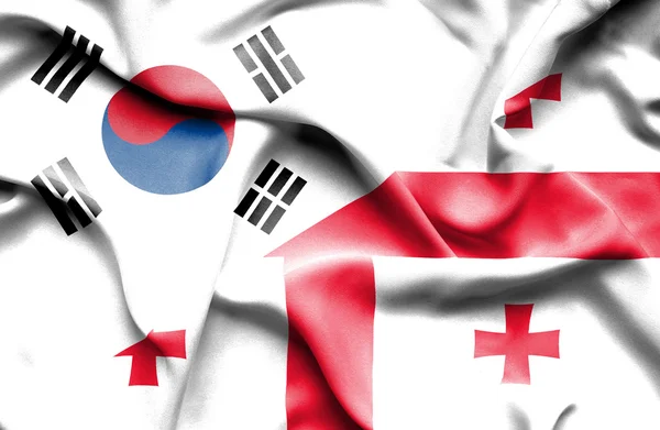 Flagge von Georgien und Südkorea schwenken — Stockfoto