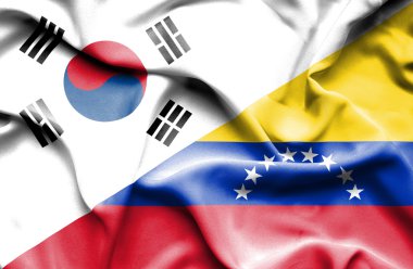 venezuela ve Güney Kore bayrağı sallayarak