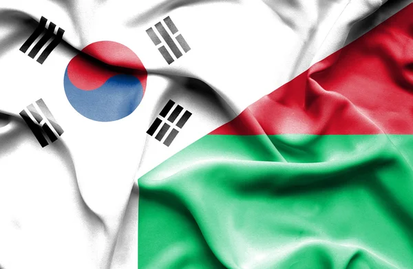 Drapeau de Madagascar et de Corée du Sud — Photo